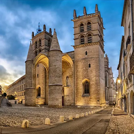 De Charme Au Centre De Montpellier! モンペリエ