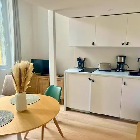 Apartment De Charme Au Centre De Montpellier!